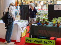 Bild vom verkaufsoffenen Sonntag
