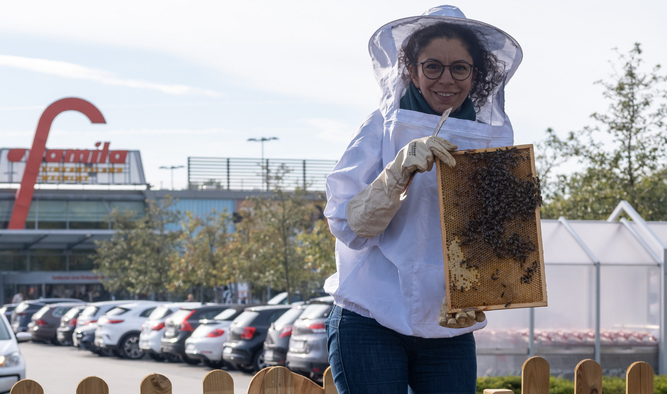 Bienen und Honig von einer Mitarbeiterin präsentiert