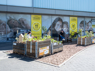 Bild von Blumenbeeten am verkaufsoffenen Sonntag