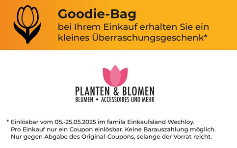 Aktionen_Blumen