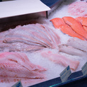 Roher Fisch in der Vitrine