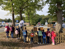 Bienenführung für Kinder