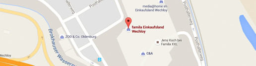 Google Maps Ausschnitt